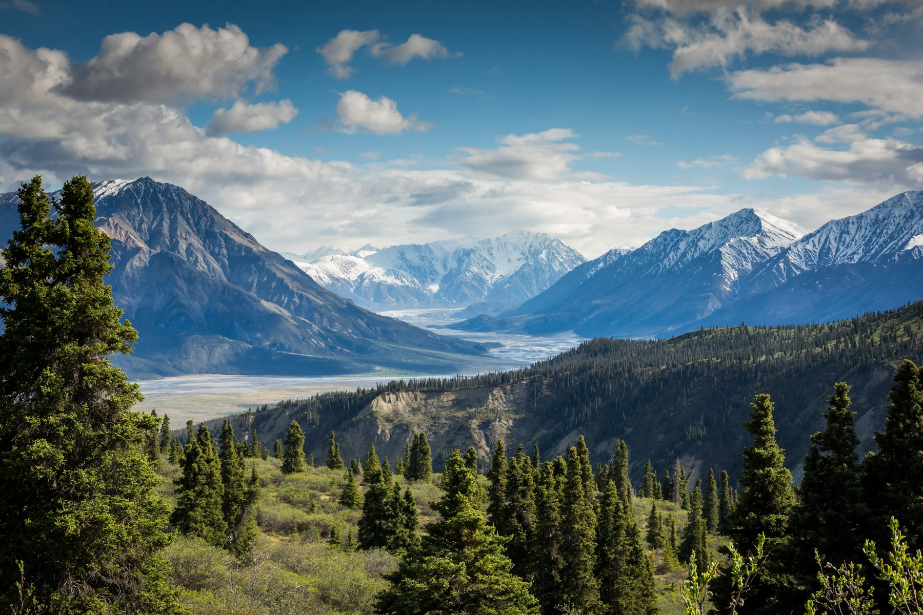 Mountain peaks and evergreen forests along an open valley